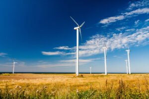 farma wiatrowa