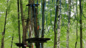 Leśny park linowy z drewnianymi platformami i niebieskimi przeszkodami zawieszonymi między drzewami